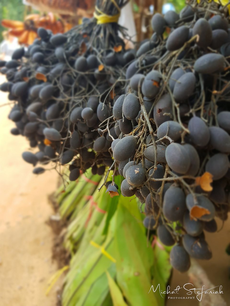  MG 1470 20191118 102853 S8